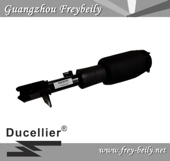 Land Rover Rang Rover Vogue L322 Left Front/ Right Front Air Suspension Shock RNB000750G/ RNB000740G