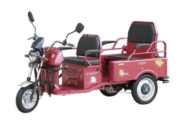 Recreational Electric Tricycle for Elderly Handicapped