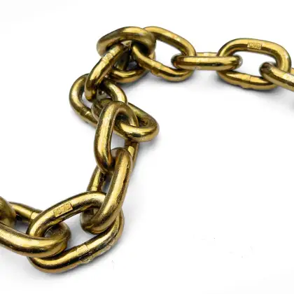 Alloy Steel Transport Chain