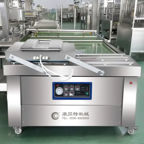 Electric Double Chamber Vacuum Packing Machine for Food Packaging - New Condition