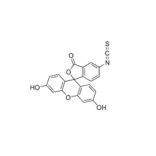 درجة نقاء عالية Fluorescein 5 Isothiocyanate CAS 3326-32-7