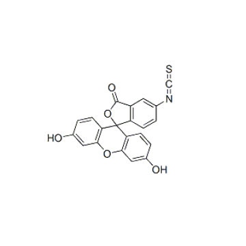 Fluorescein 5 Isothiocyanate CAS 3326-32-7