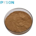 Hot Sell Echinacea Purpurea Herb Extract Powder