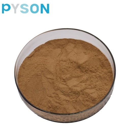 ขายร้อน Echinacea Purpurea Herb Extract Powder