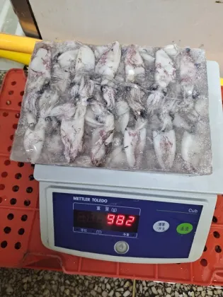 Frozen Baby Squid High Quality