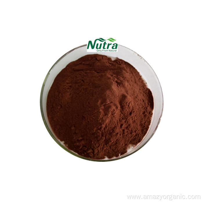 Organic Salvia miltiorrhiza Extract Powder