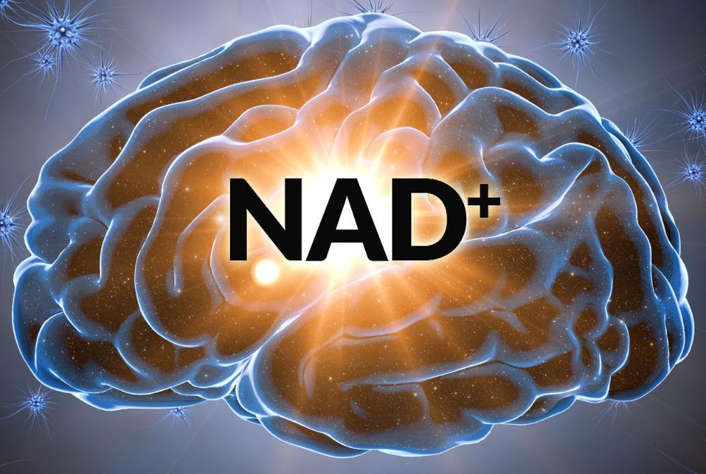 nad+