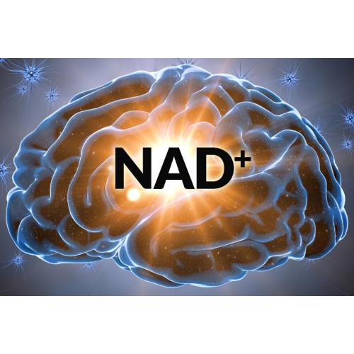 nad+ supplement nicotinamide adenine dinucleotide nad