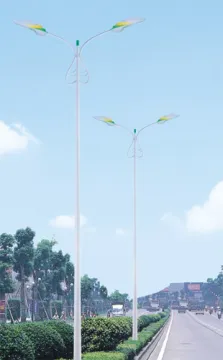 Double Head Street Light