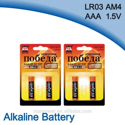 Long Lifespan size AAA r03 1.5v dry battery