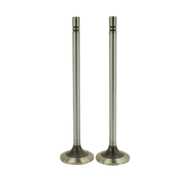 Caterpillar Auto Parts: 1676 D334 1674 D336 Engine Valve