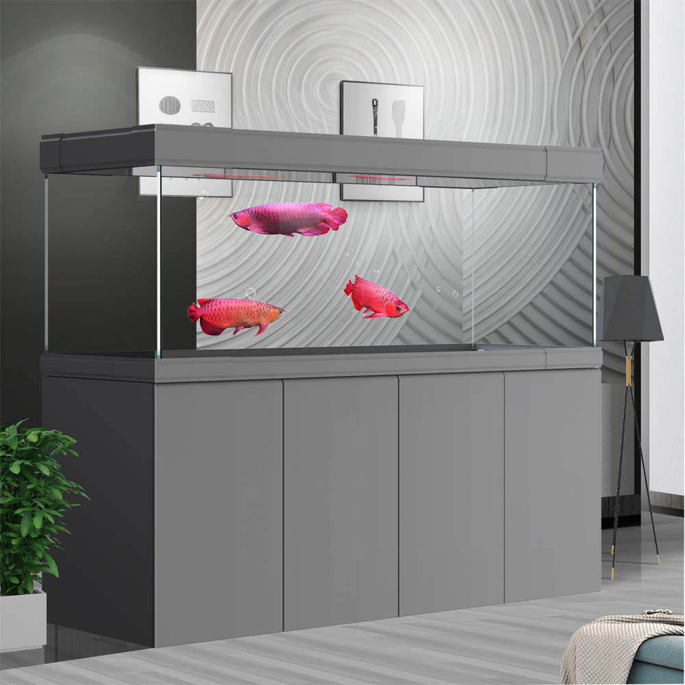 Fish Tank Aquarium