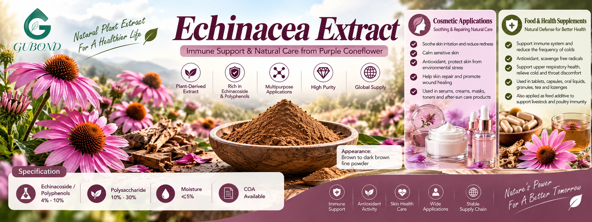 Echinacea Extract