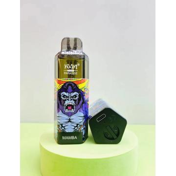 R＆Mパラダイス8KパフホットセールVape USA