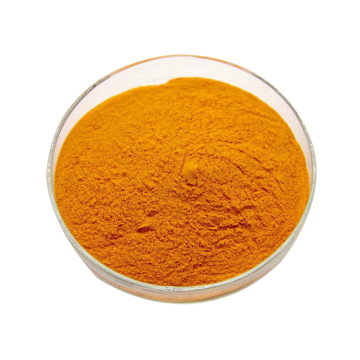 polygonum cuspidatum giant knotweed extract 98% emodin