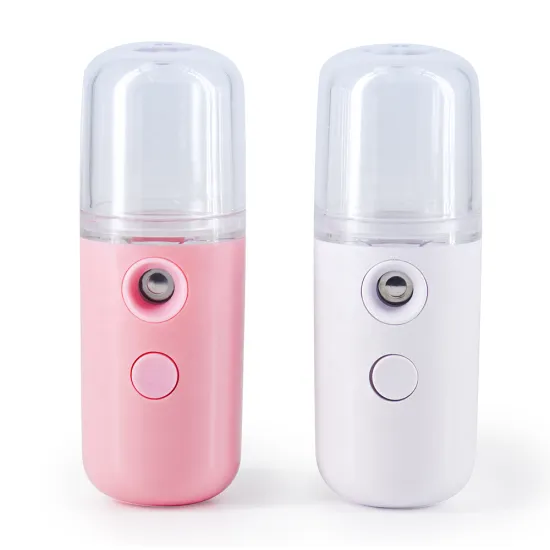 Hot Selling Summer Handheld Electric Mini Facial Steamer - Nano Beauty Equipment