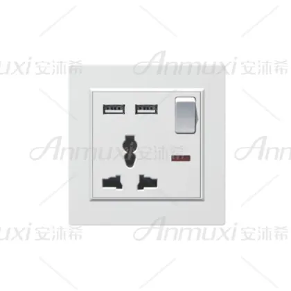 220V USB Wall Socket