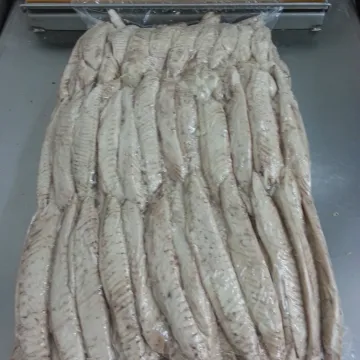 Precooked Frozen Tuna Bonito Skipjack Loins For Export