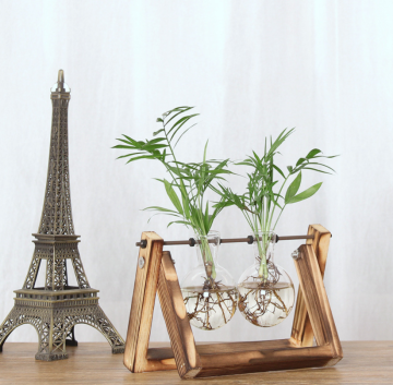 High borosilicate double glass balls with burned effect Paulowina wood casket for water plant growing and Home deco glassware