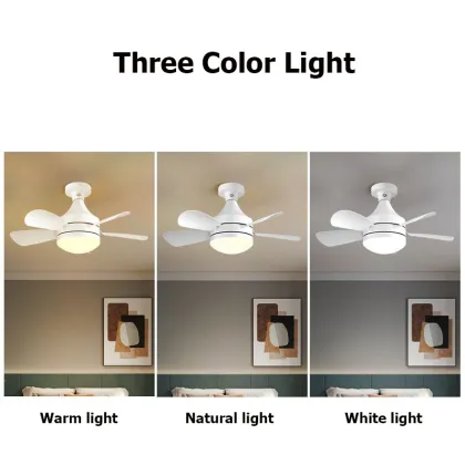 Sunled Ceiling Lamp Fan: Large Airflow, Noiseless LED Ceiling Fan with Light and Remote