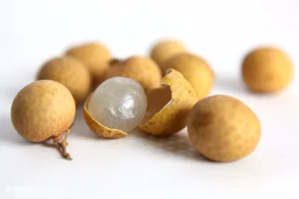 Natural Dried Dimocarpus Longan Extract