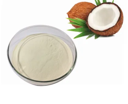 Organic Coconut Milk Powder Bulk