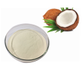 Organic Coconut Milk Powder Bulk