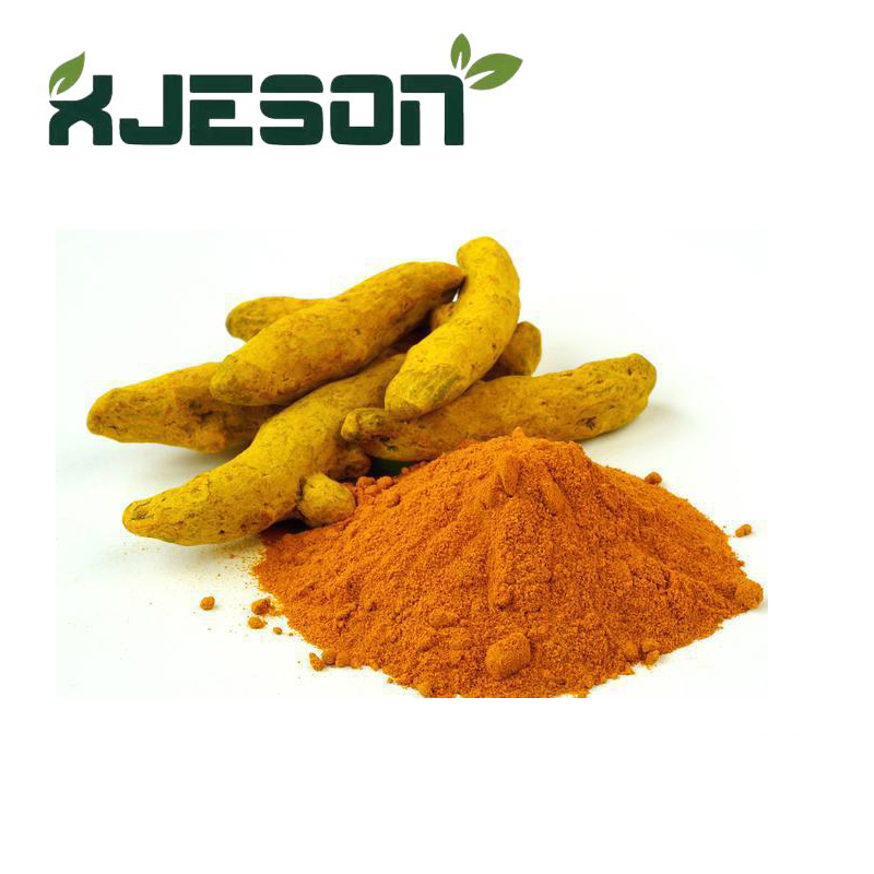 Curcumin Extract Curcumin 95%