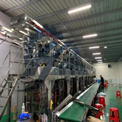 Multi-Purpose Snack Packing Machine for Chips, Biscuits, and Candies