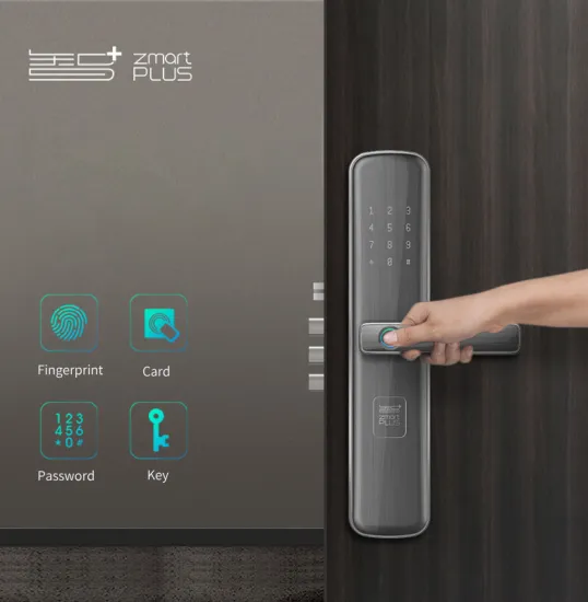 Apartment Home Smart Lock With Face Recognition