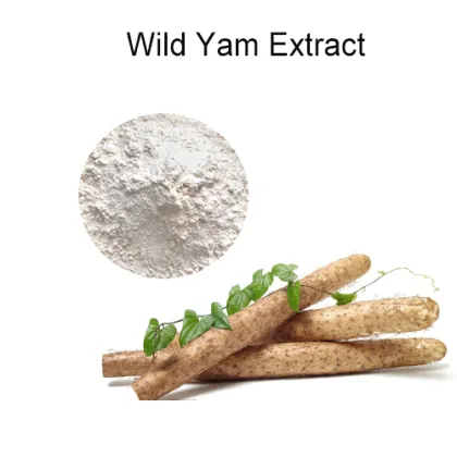 High Quality Natural Organic Wild Yam Extract