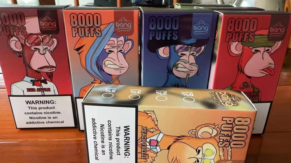 Bang 8000 Puffs Disposable Vape Hot Sale France