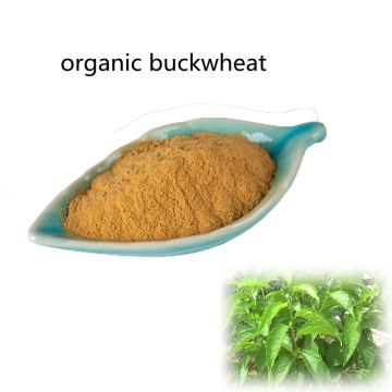 Pharmaceutical price organic buckwheat powder