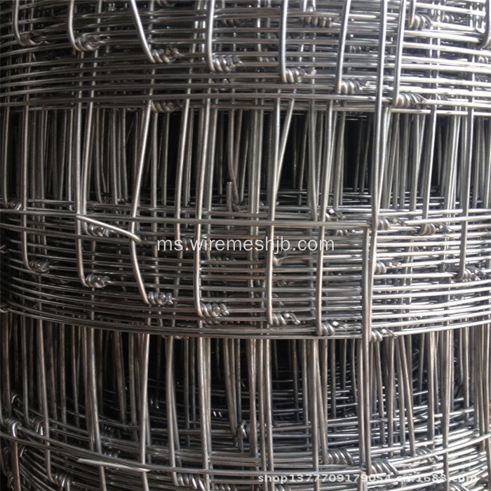 1.6M * 50M Galvanized Steel Wire Kraal Network