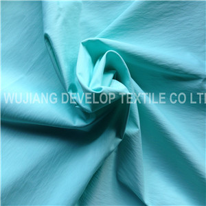 410t Polyester and Nylon Blended Woven Fabric for Garment Fabric (DNT2060)