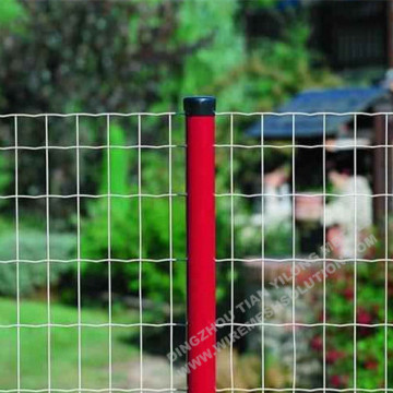 Holland Wire Mesh Fence for Gardening