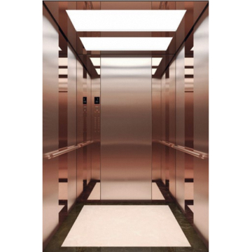 FUJI Home Lift: Machine Room Less Passenger Elevator Manufacturing and Safety