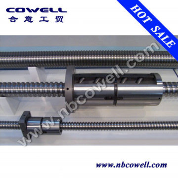 Cnc Ball Screws 