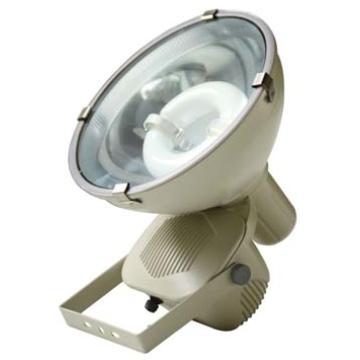 induction floodlight