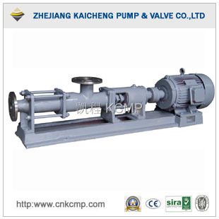 Progressive Cavity Pump (G30-1)