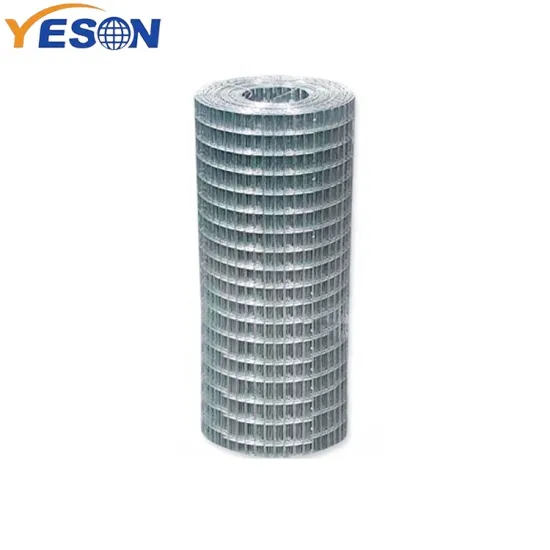 1/4 Inch Galvanized Welded Wire Mesh for Fencing and Animal Cages