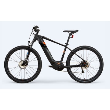 블랙 ebike 대 전동 자전거