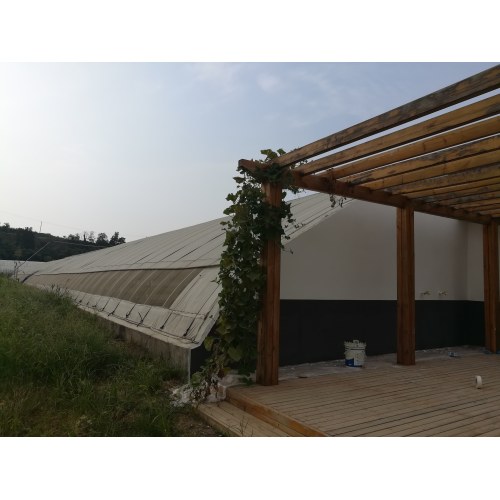 Scenic Sunlit Warm Greenhouse