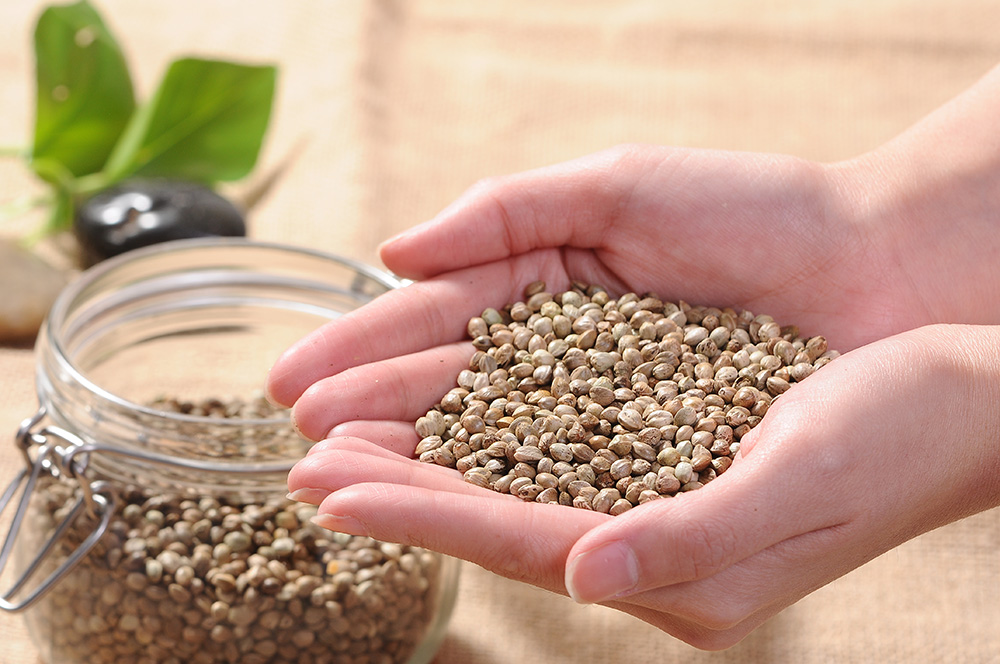 Organic Hemp Seed