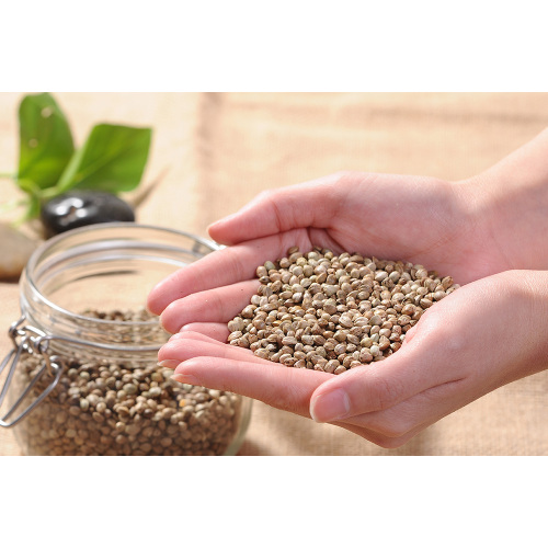 Hot Selling Organic Hemp Seeds