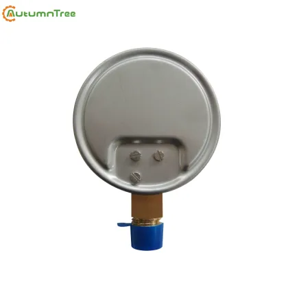 CapSulate Gauges: Visual Metrics & Analytics