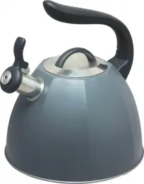 Stainess steel Painting tea pot