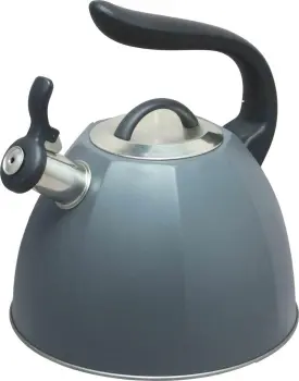 Stainess steel Painting tea pot