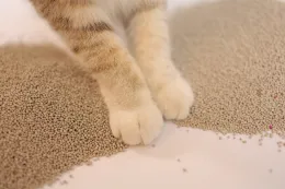 2.0mm Bentonite Cat Litter