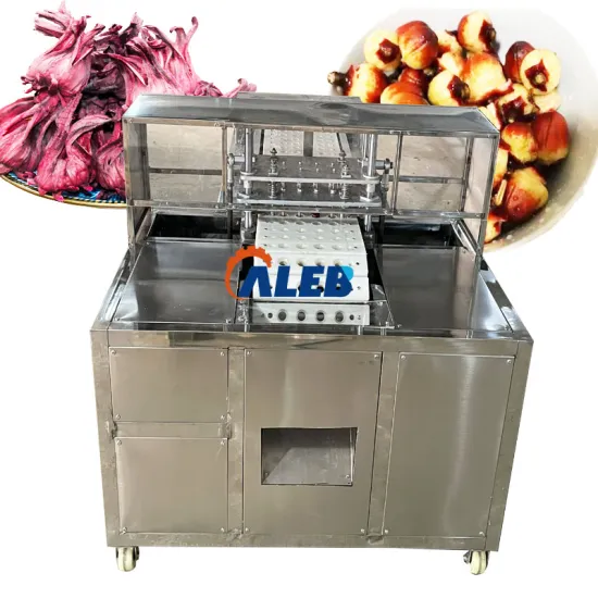 Automated Fruits Pitting Machine for Green Plums, Dates, and Dried Apricots
